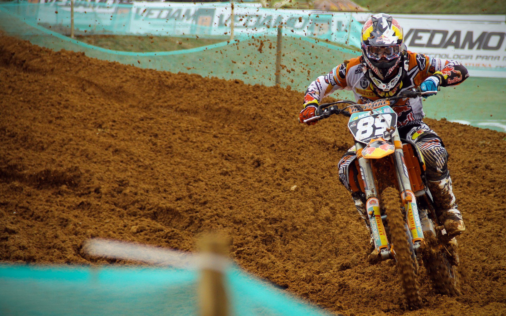 游泳比赛出现多项个人最佳成绩